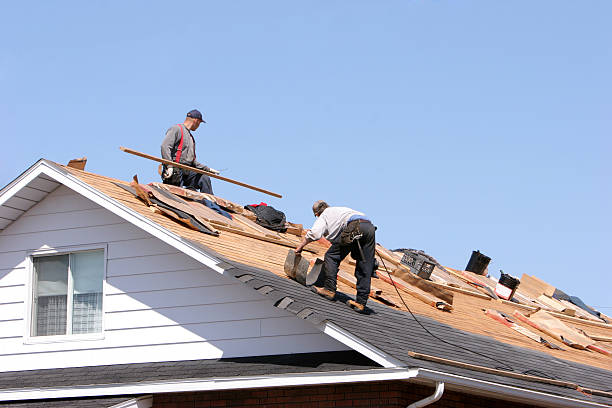 Best Roof Maintenance and Cleaning  in Brooklyn Heights, OH